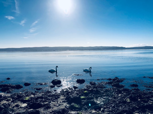 養殖廢水如何處理-污水處理設備-青島樂中環?？萍加邢薰? /> 
	</p>
<p style=