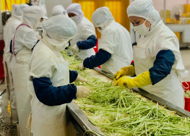 三種食品污水處理設備工藝流程,看看哪種適合您? 三種食品污水處理設備工藝流程,看看哪種適合您?