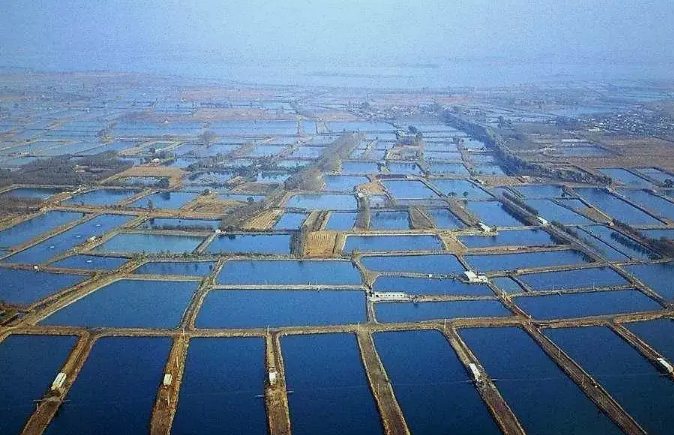 一次性說清楚水產養殖廢水的主要處理工藝 一次性說清楚水產養殖廢水的主要處理工藝