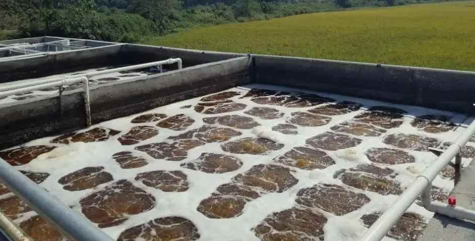 屠宰污水處理設備原理及用途(屠宰廢水水質) 屠宰污水處理設備原理及用途(屠宰廢水水質)